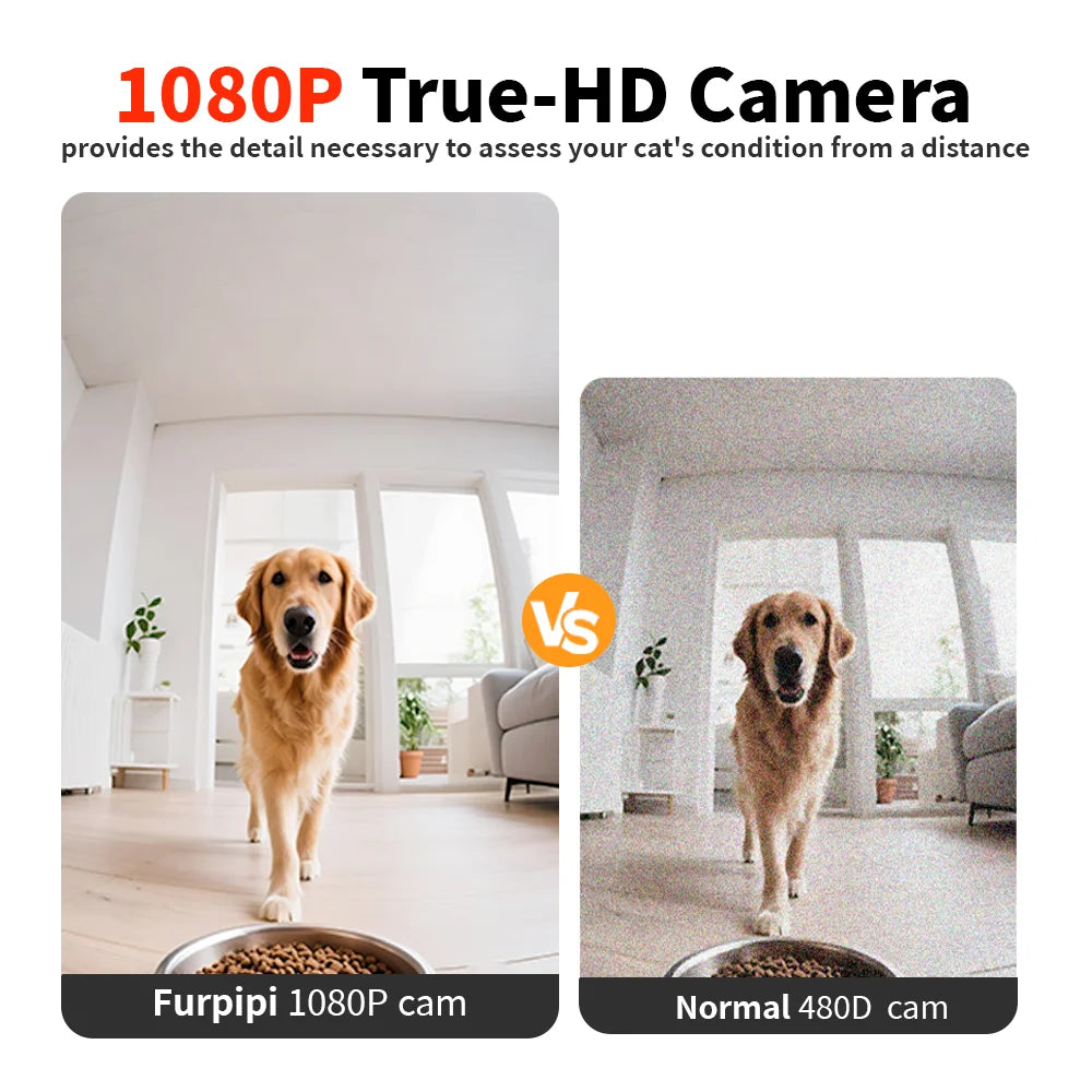 Comedero automático