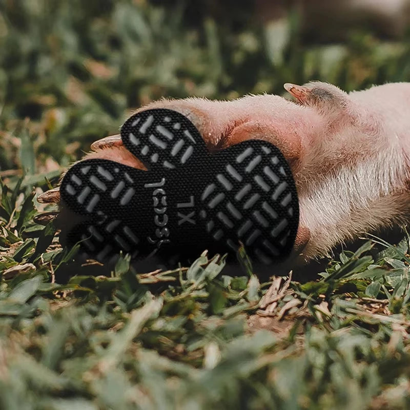 Empuñaduras antideslizantes para patas de perro