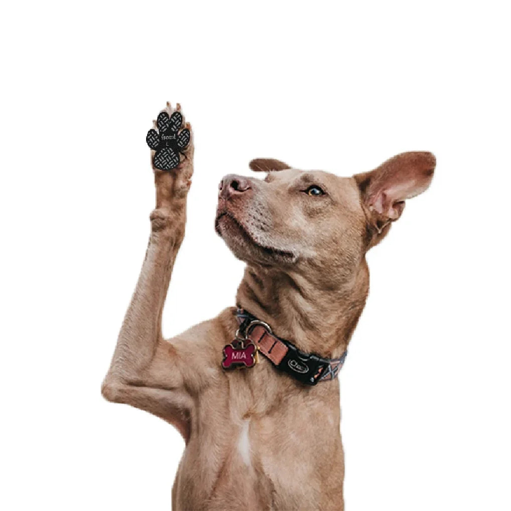 Empuñaduras antideslizantes para patas de perro