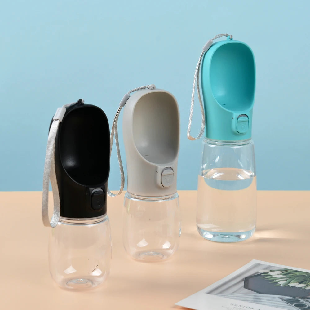 Botella de agua portátil