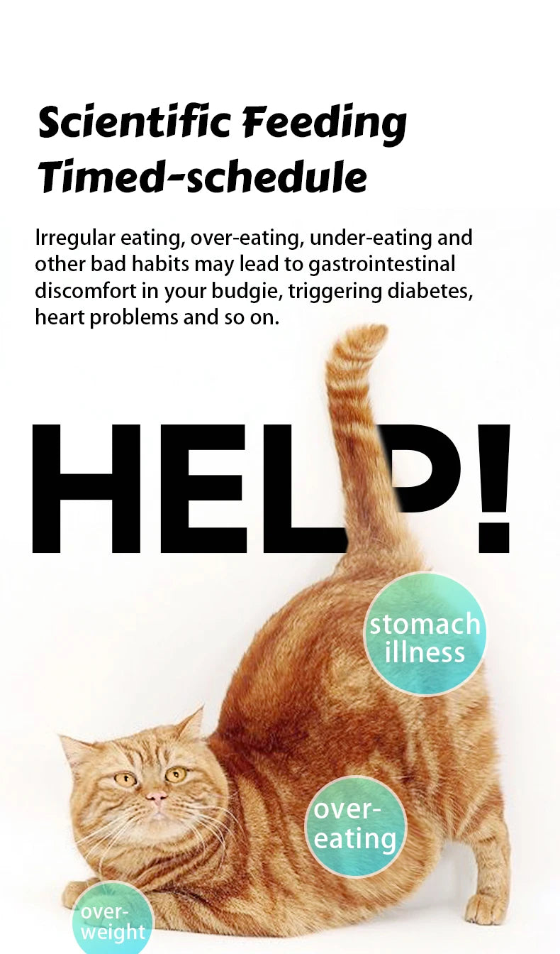 Comedero automático