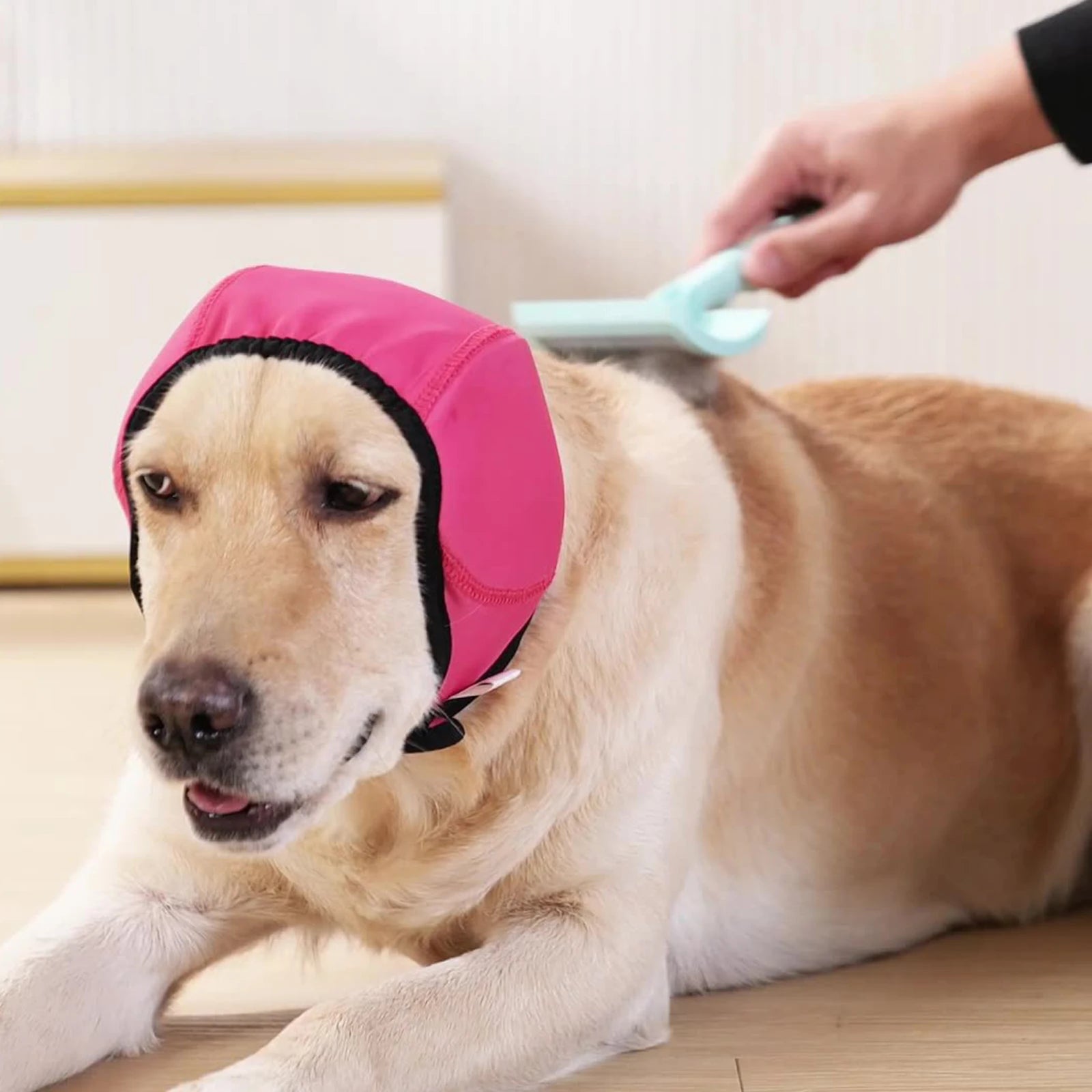 Cubiertas para orejas de perro contra ruido